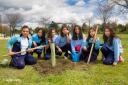 Noticias:: Pinto celebró el Día del Árbol con una plantación familiar de 300 ejemplares autóctonos