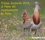 Premio Avutarda