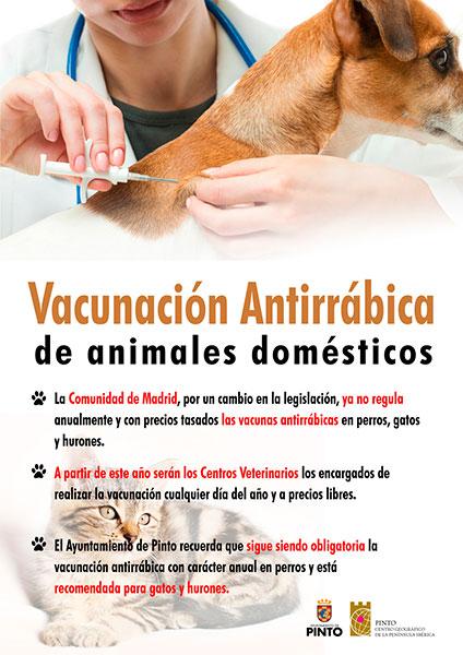 Noticias:: Cambio de legislación para la Antirrábica de Animales Domésticos -