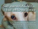 Noticias:: Campaña para una tenencia responsable de mascotas