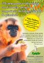 Noticias:. El Ayuntamiento de Pinto ofrece una visita al Centro de Primates Rainfer