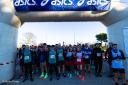 Noticias:: Medio millar de corredores completan la San Pinteña 2023