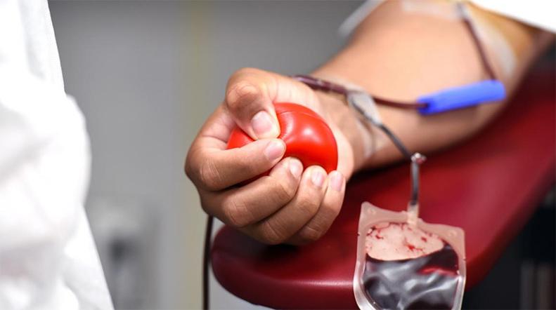 NOTICIAS::Cruz Roja agradece a la ciudadanía pinteña la alta cifra de donaciones de sangre de 2022