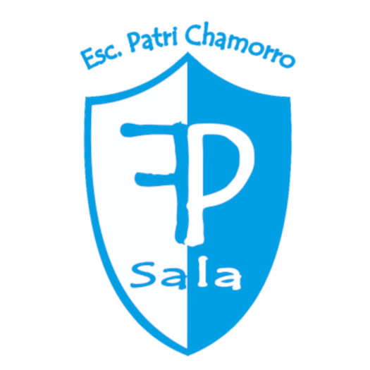 Escudo Club Deportivo Elemental Futsala Pinto