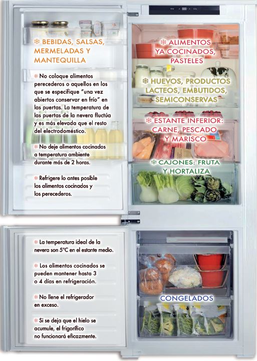 Organiza tu frigorífico