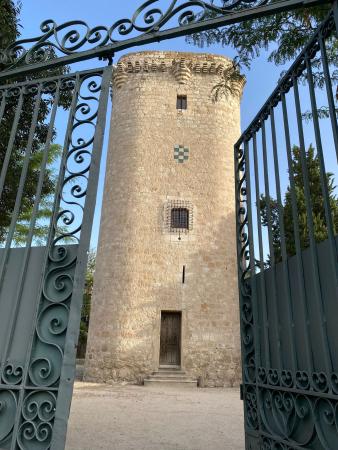Visitas guiadas a la Torre de Pinto