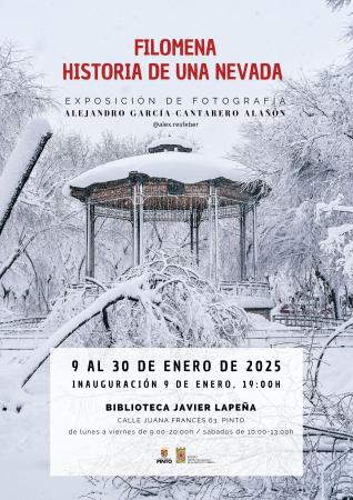 Filomena, historia de una nevada.