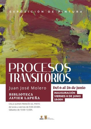 EXPOSICIÓN PROCESOS TRANSITORIOS.  JUAN JOSÉ MOLERO